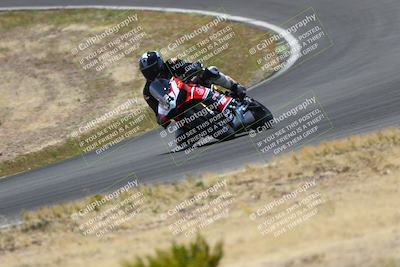 media/Apr-25-2025-2WTD (Fri) [[fab9f350b7]]/A Group/12pm (Turn 2)/